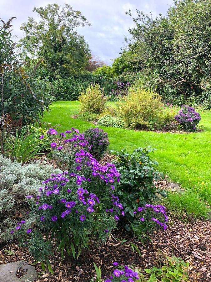 Dingle Garden Townhouse Bed & Breakfast Exterior foto The gardens at the centre