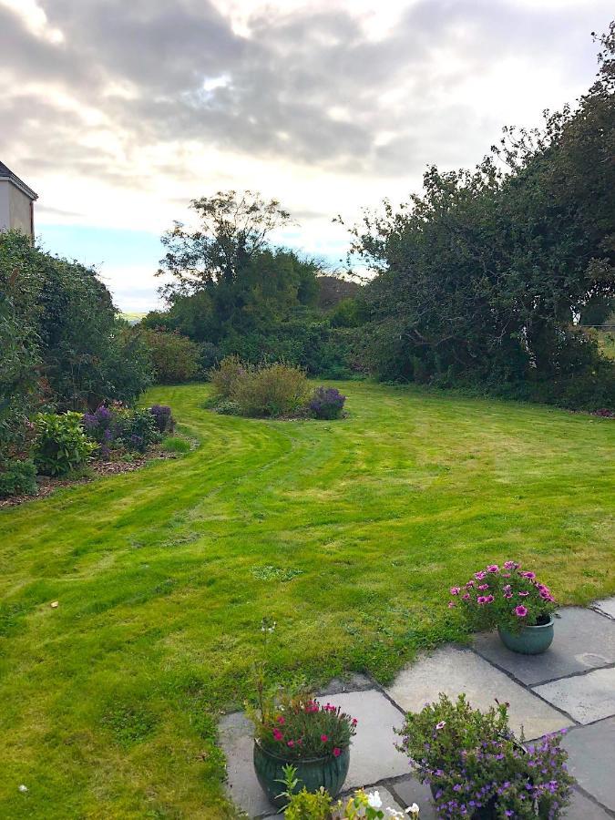 Dingle Garden Townhouse Bed & Breakfast Exterior foto The garden of the house