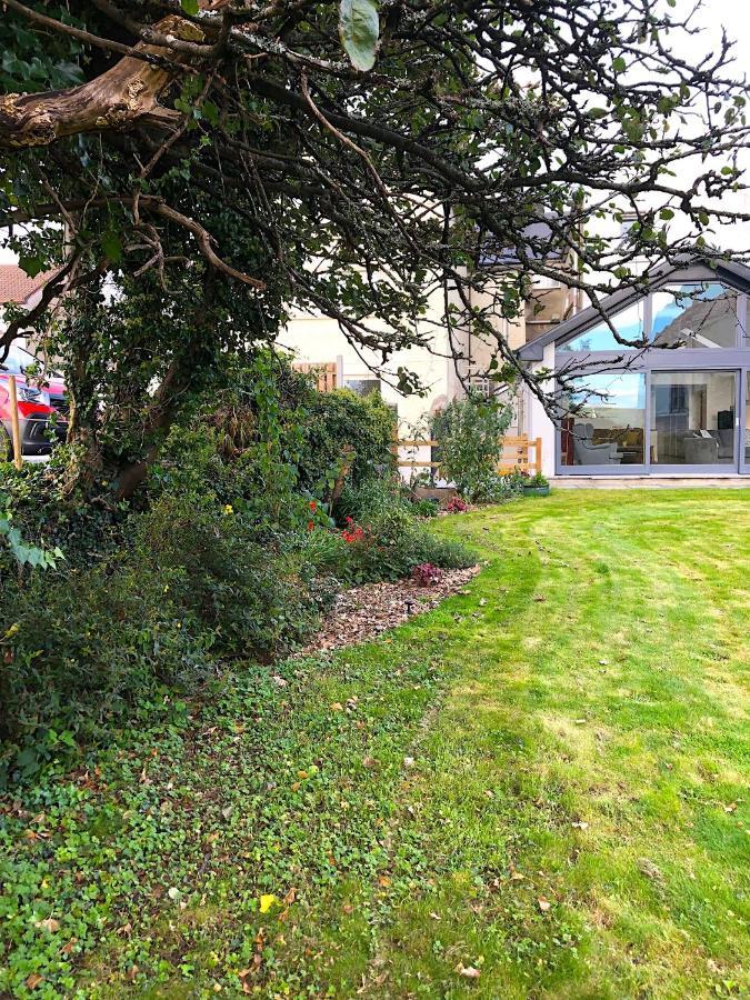 Dingle Garden Townhouse Bed & Breakfast Exterior foto The garden of the house