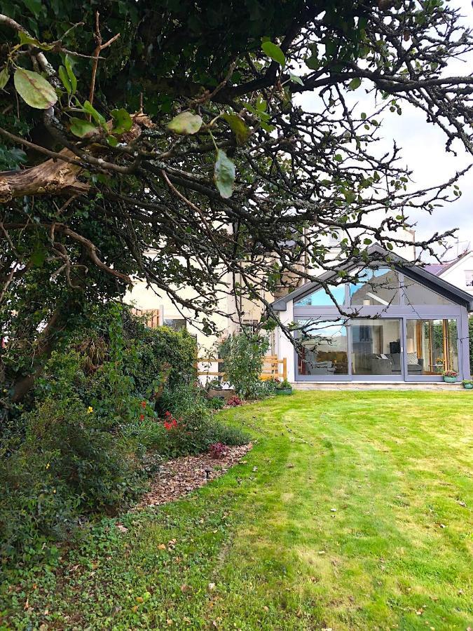 Dingle Garden Townhouse Bed & Breakfast Exterior foto The garden of the house